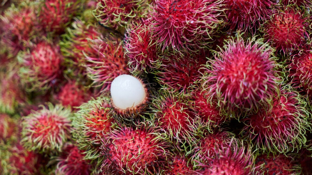 rambután, exotické ovoce